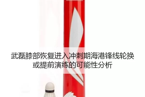 武磊膝部恢复进入冲刺期海港锋线轮换或提前演练的可能性分析